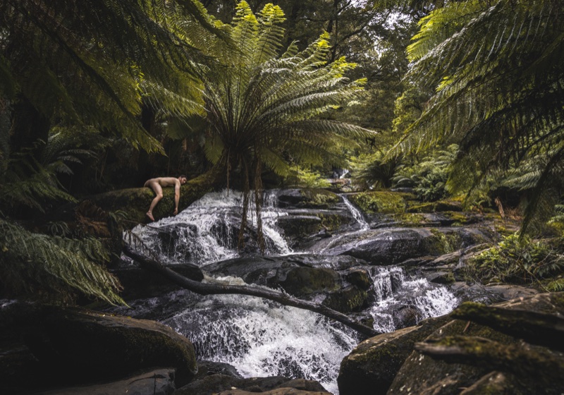 Australia Forest
